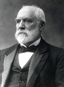 FERGUSON, John (1830–1906)